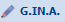 4. G.IN.A.